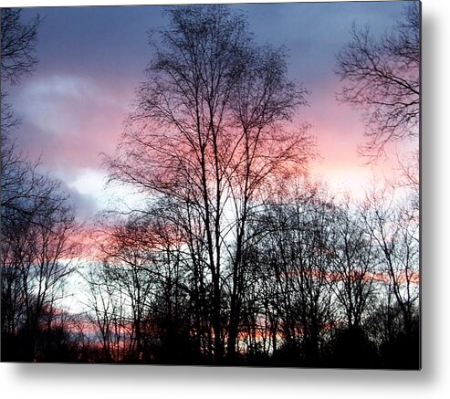 Butterfly Metal Print featuring the photograph Butterfly Wings Of Pink In The Sky by Kim Galluzzo