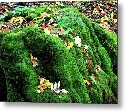 Canterbury Metal Print featuring the mixed media Canterbury Hills Moss in Autumn by Bruce Ritchie