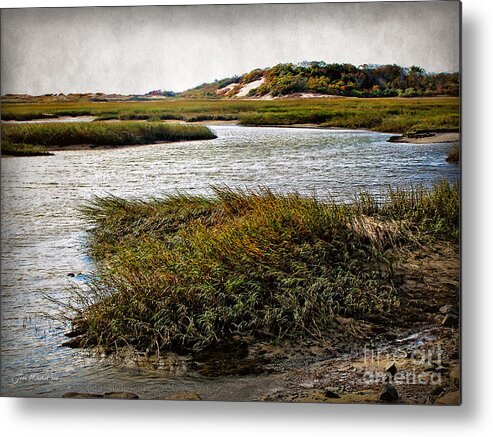 Cape Cod National Seashore Metal Print featuring the photograph Cape Cod National Seashore by Joan Minchak