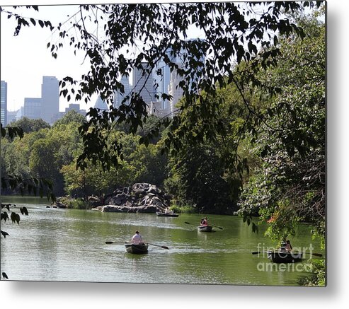 Central Park Metal Print featuring the photograph Central Park 38 by Padamvir Singh
