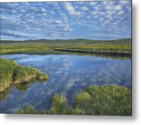 00176500 Metal Print featuring the photograph Clouds Reflected In The Green River by Tim Fitzharris