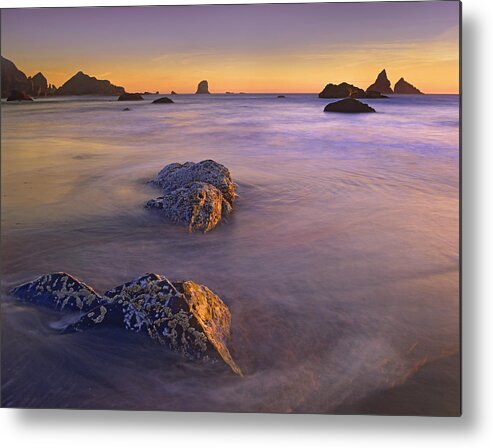 00176843 Metal Print featuring the photograph Coastline Lone Beach Oregon by Tim Fitzharris