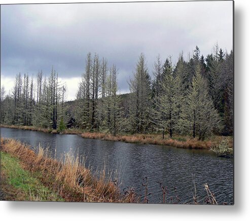 River Metal Print featuring the photograph Cold Day on The Nemah River by Pamela Patch