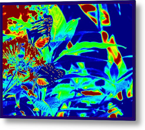 Color Abstractbutter Fly Metal Print featuring the photograph Color Abstract-1 by Anand Swaroop Manchiraju