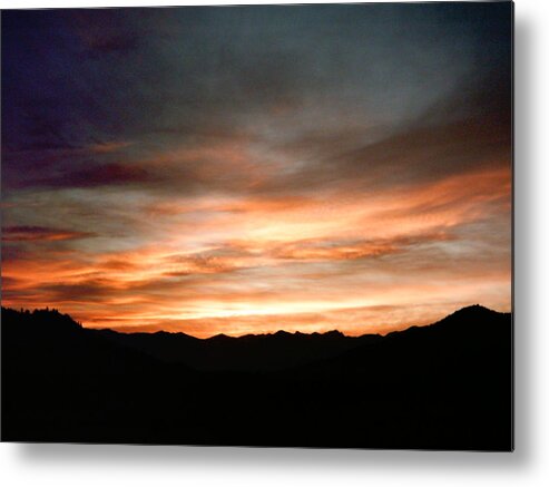  Metal Print featuring the photograph Colorburst by William McCoy