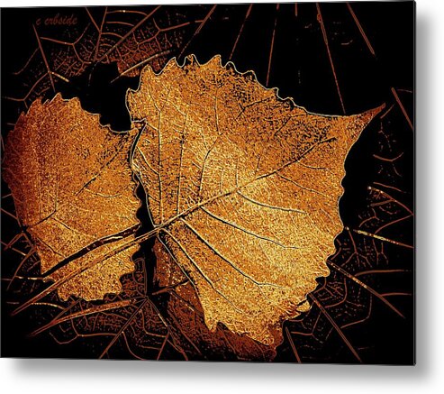 Leaves Metal Print featuring the photograph Cottonwood Foliage by Chris Berry