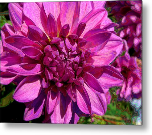 Floral Metal Print featuring the photograph Dahlia Describes The Color Pink by Lora Fisher