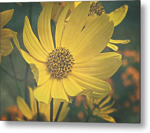 Yellow Metal Print featuring the photograph Daydreaming is Free by Robin Dickinson