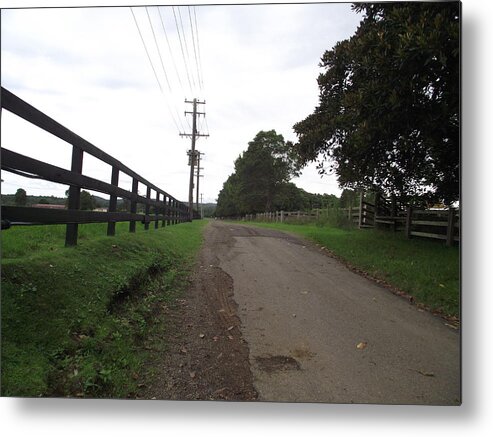 Road Metal Print featuring the photograph Down The Lane by Rani De Leeuw