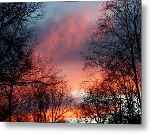 Dramatic Metal Print featuring the photograph Dramatic Colors Of Mother Nature by Kim Galluzzo