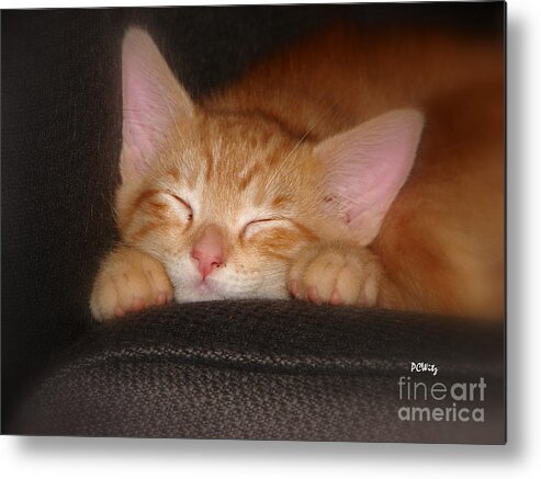 Cat Metal Print featuring the photograph Dreaming Kitten by Patrick Witz
