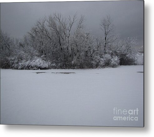 Landscape Metal Print featuring the photograph Early Spring Snow Fall by Cedric Hampton