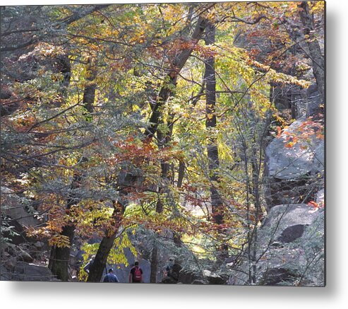 Nature Metal Print featuring the photograph Exploring Nature's Gift by Loretta Pokorny