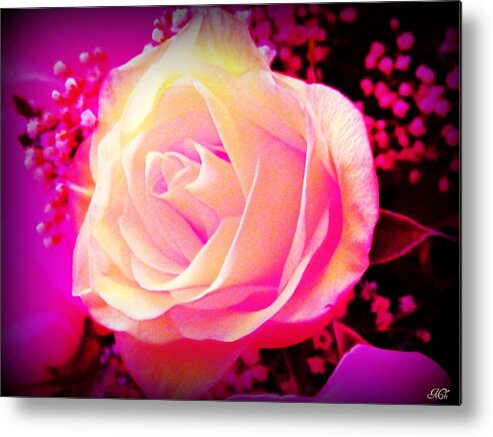 Rose Metal Print featuring the photograph Fairy Rose by Michelle Frizzell-Thompson