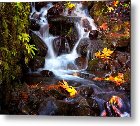 Autumn Metal Print featuring the photograph Fall at Wahkeena by Jon Ares