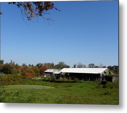 Fall Metal Print featuring the photograph Fall On The Farm by Kim Galluzzo