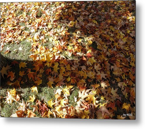 Leaves Metal Print featuring the photograph Fallen Leaves by Kim Galluzzo