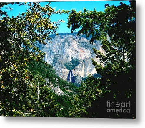 Landscapes Metal Print featuring the photograph Falls Through the Trees by The Kepharts 
