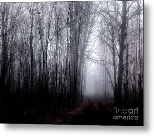 Fog Metal Print featuring the photograph Foggy Trail - Morning Blue by Angie Rea