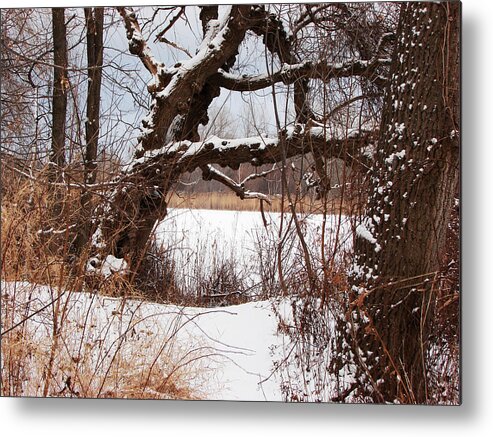 Gnarled Metal Print featuring the mixed media Gnarled Tree by Lake Chipican by Bruce Ritchie