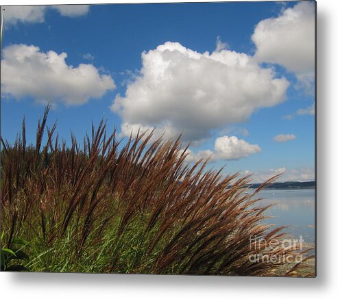 Sky Metal Print featuring the photograph Good Contrast by Bruce Borthwick