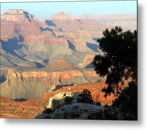 Grand Canyon Metal Print featuring the photograph Grand Canyon 53 by Will Borden