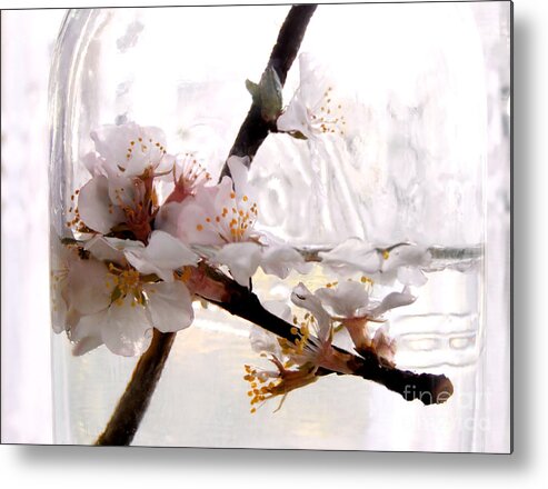 Flowers In A Jar Metal Print featuring the photograph He Loves Her by Angie Rea