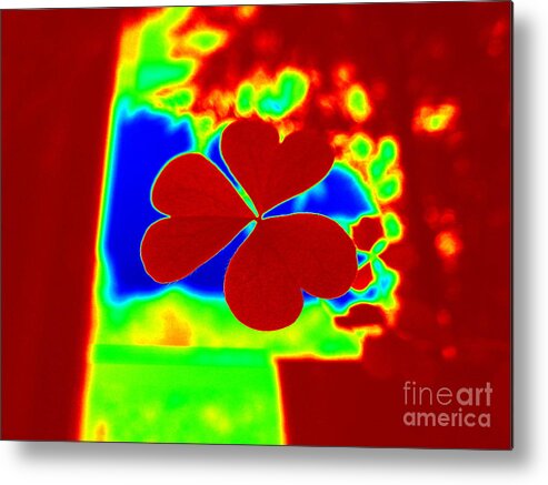 Heart Metal Print featuring the photograph Hearts Aflutter by Renee Trenholm