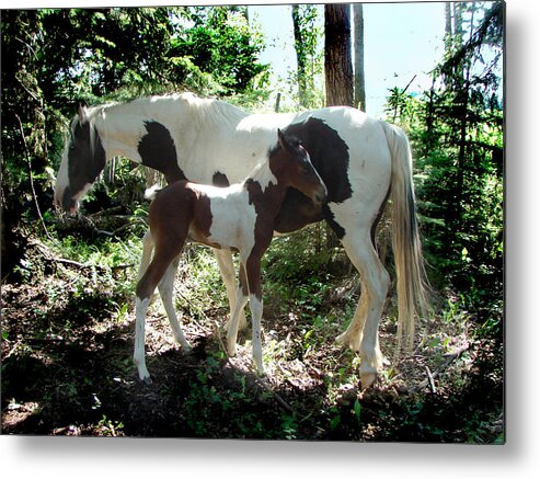 Horse Metal Print featuring the mixed media Hide in Plain Sight by Bruce Ritchie