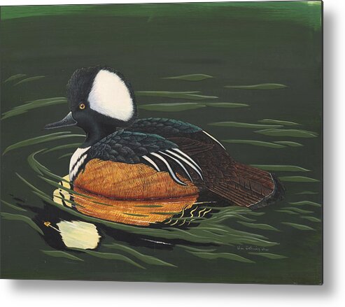 Duck Metal Print featuring the painting Hooded Merganser by Bill Gehring