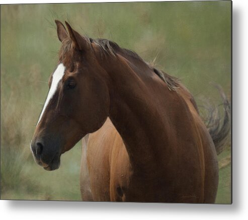 Horse Metal Print featuring the digital art Horse Painterly by Ernest Echols