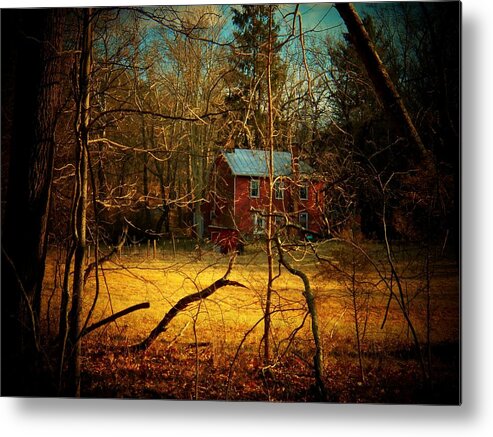 West Virginia Metal Print featuring the photograph House in the Forest by Joyce Kimble Smith