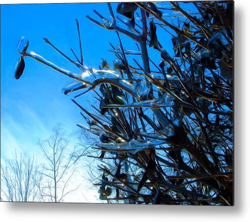 Ice Metal Print featuring the photograph Icy Trim by Dennis Lundell