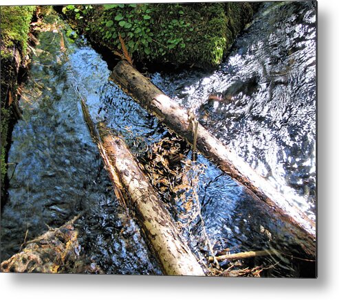 Mckenzie River Metal Print featuring the photograph Into The McKenzie by Lora Fisher
