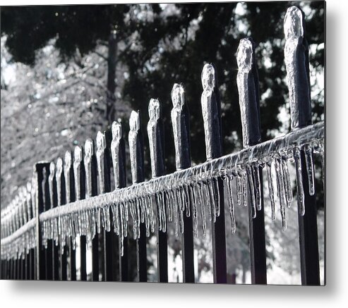 Iron And Ice Metal Print featuring the photograph Iron and Ice 1 by Elizabeth Sullivan