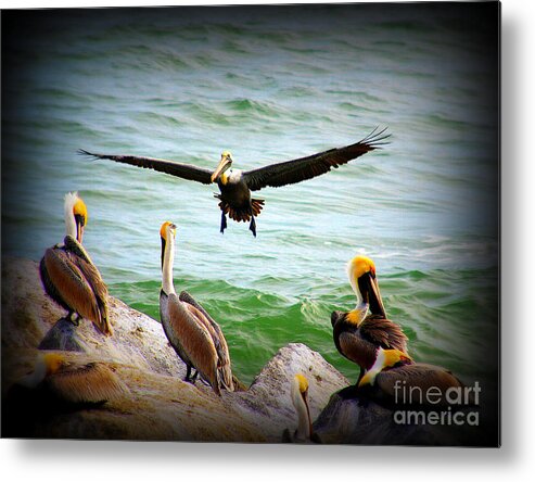 Pelican Metal Print featuring the photograph Its My Space by Susanne Van Hulst