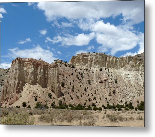 Terry Tanner Metal Print featuring the photograph Kodachrome Basin State Park II by Terry Eve Tanner