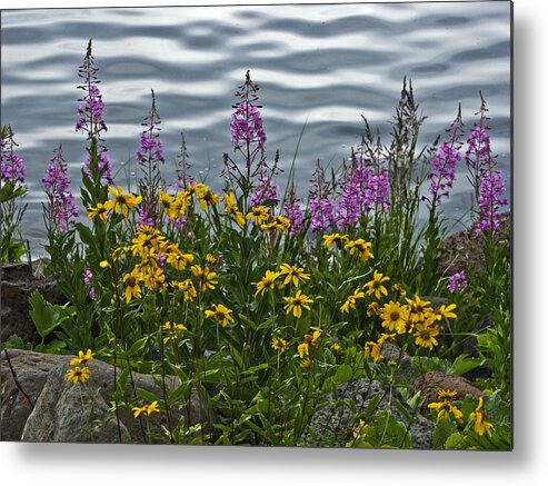 Fire Weed Metal Print featuring the photograph Lakeside Beauties by John and Julie Black