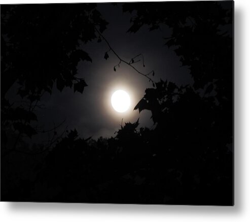 Moon Metal Print featuring the photograph Leafy Moon by Shane Brumfield