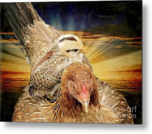 Thanksgiving Metal Print featuring the photograph Life is Precious by Ellen Cotton