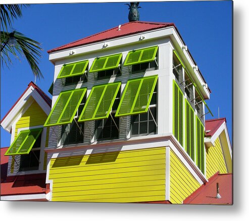 Didital Photography Metal Print featuring the photograph Lime Green by Jean Wolfrum