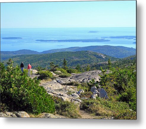 Acadia National Park Metal Print featuring the photograph Looking Down the Ledge by Lynda Lehmann