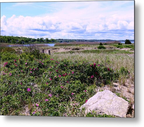 Beach Metal Print featuring the photograph Looking West by Janice Drew