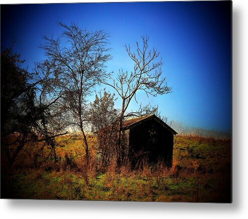 Virginia Metal Print featuring the photograph Lost Shed by Joyce Kimble Smith