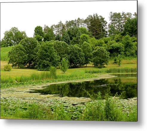 Pond Metal Print featuring the photograph Lush Green by Azthet Photography