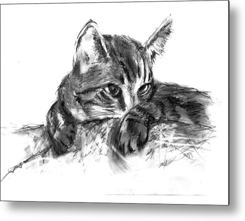 Kitten Metal Print featuring the drawing Manny on Pillow by Marilyn Barton