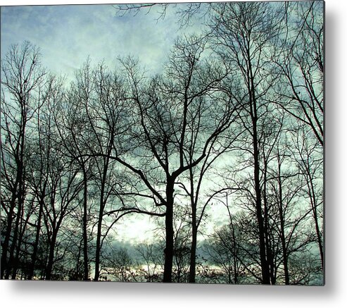 Trees Metal Print featuring the photograph Mirage in the Clouds by Pamela Hyde Wilson