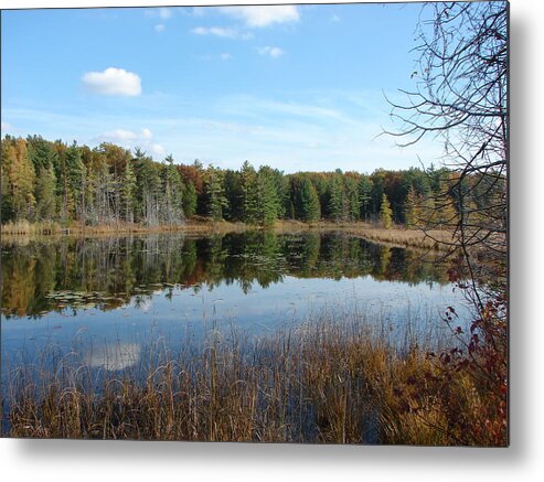 Lake Metal Print featuring the mixed media Mirror Lake by Bruce Ritchie