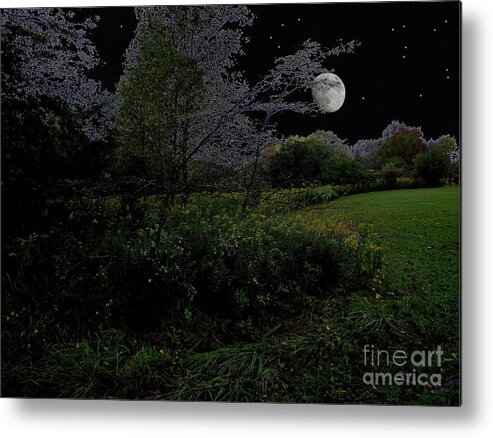 Nature Metal Print featuring the photograph Moonrise In Flossmoor Forest by Cedric Hampton