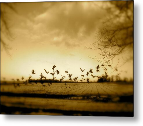 Landscape Metal Print featuring the photograph My Back Yard by Arthur Barnes